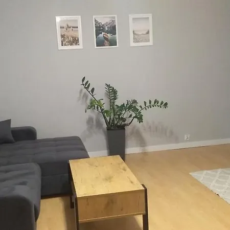 公寓 Apartament Centrum Mazur *