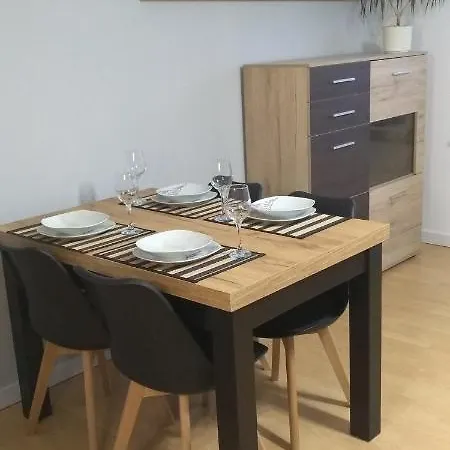 公寓 Apartament Centrum Mazur